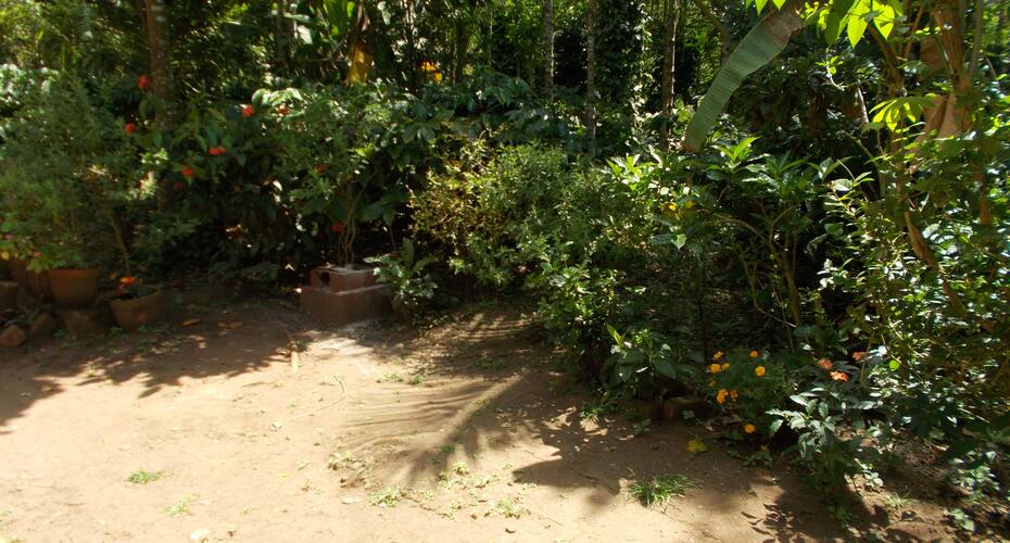 Bright Spot Homestay, Coorg 3